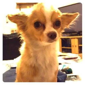 Meet your Posher, Scott